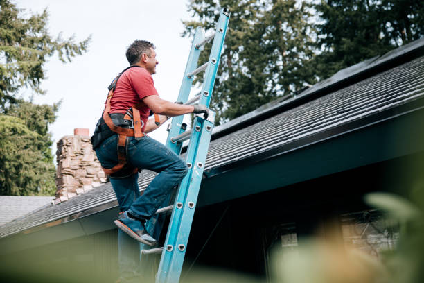 Best Sheet Metal Roofing  in West Ishpeng, MI